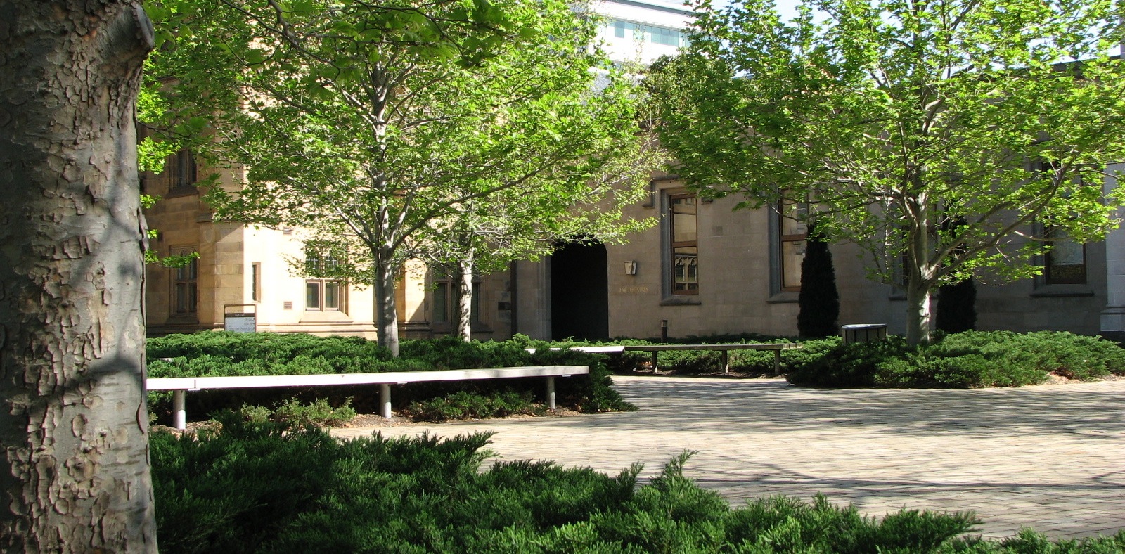 A quiet corner of Melbourne University during a crowded and overwhelming anime and manga convention.