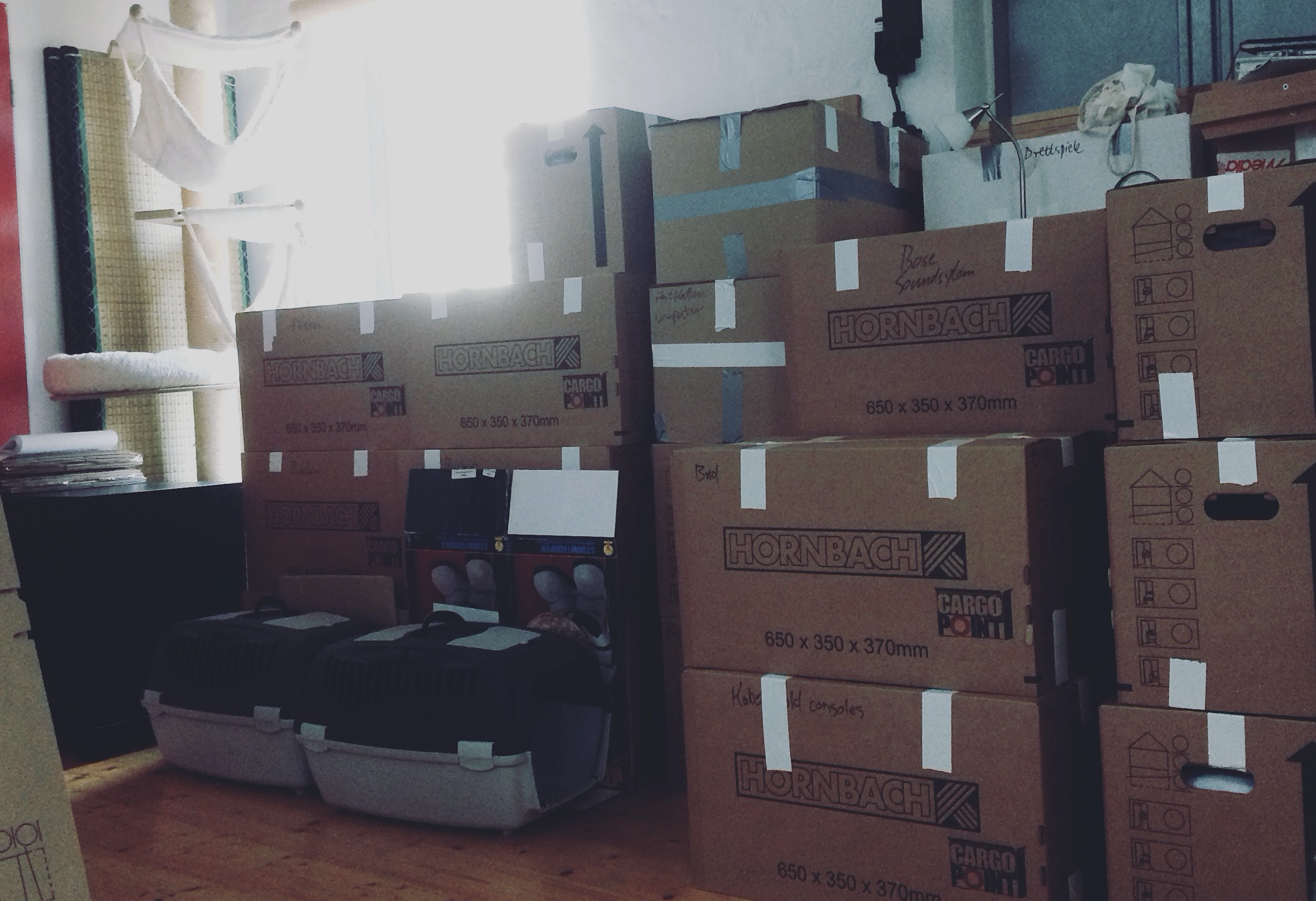 A high pile of moving boxes stacked on top of each other, sealed with white tape with two cat carriers in front