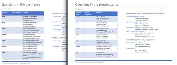 A screenshot of the cheat sheet of basic questions for this lesson plan.