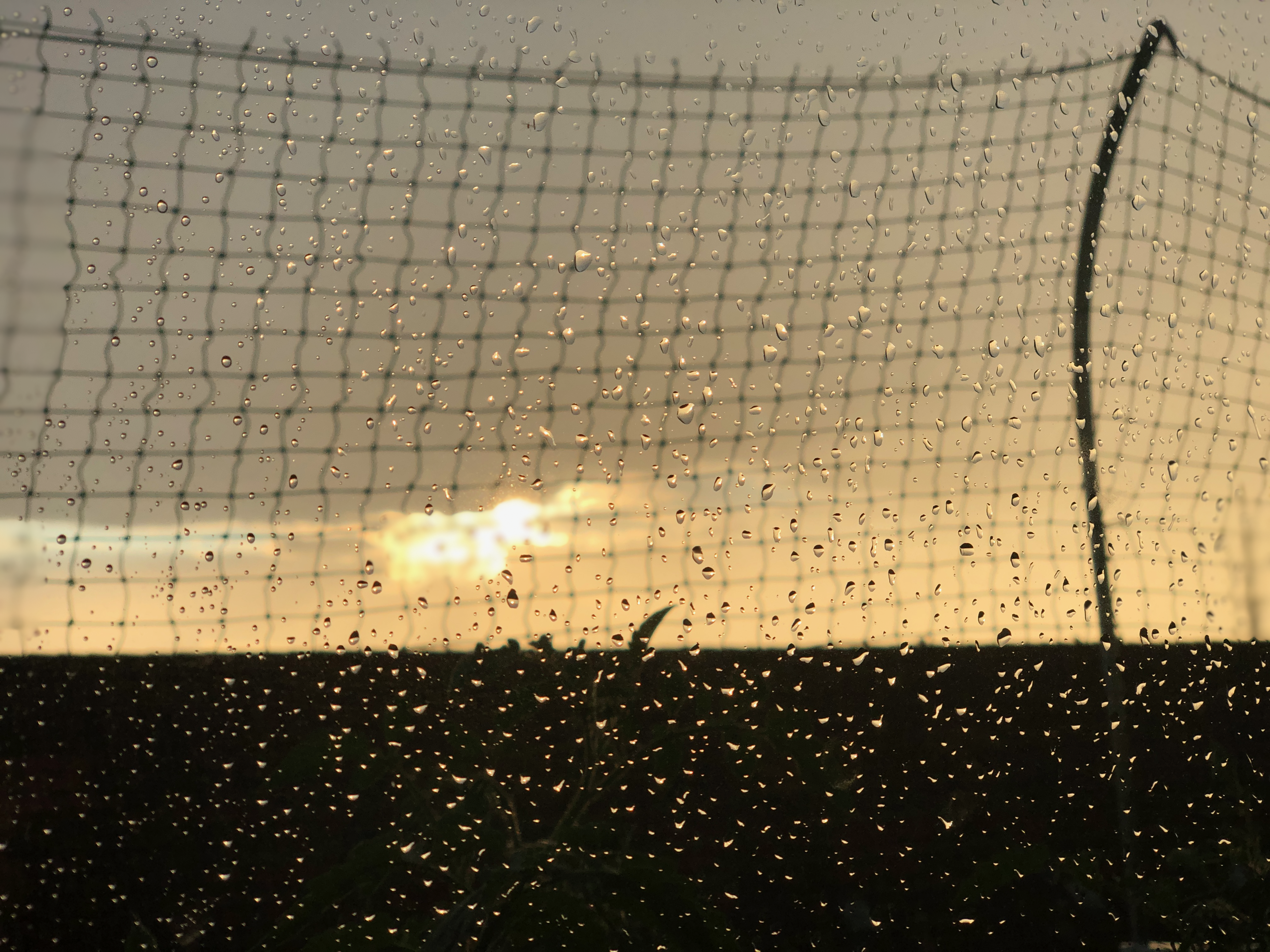 Rain on a window looking out onto a cat-net-lined balcony with the setting sun peeking through the bottom of the clouds near the horizon.