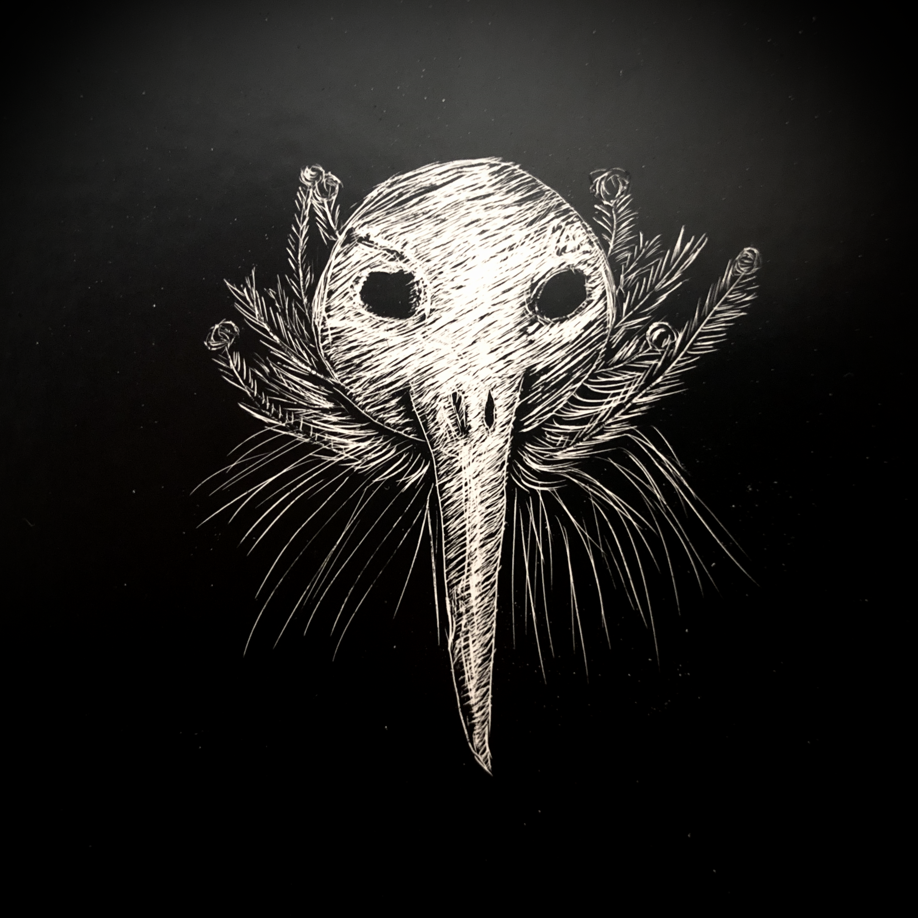 A bird-like character wearing a feather coat is scratched into black scratchboard.