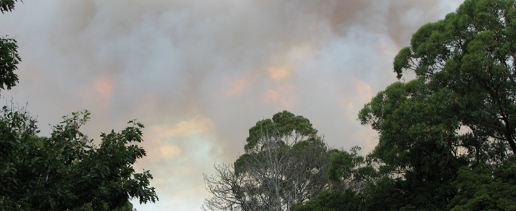 Bushfire in Tecoma, Victoria, 2009