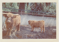 At the zoo