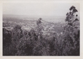 On Mt Coot-tha overlooking Brisbane