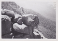 Mt Buffalo gorge
