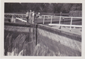 Turrumberry Weir near Echuca