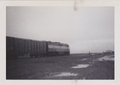 A train at small Pimba station