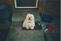 Bobby at Cypress Avenue