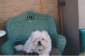 Bobby at Cypress Avenue