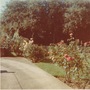 (Angie) The driveway and the front garden