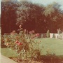 (Angie) The front garden