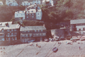 Clovelly beach