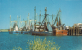 Carnavon, W.A. Prawning fleet, new boat harbour