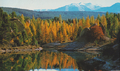 Autumn at Hoffmans Dam, Naseby