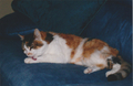 Snookie at Millgrove