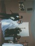 Stuart and Karen's wedding